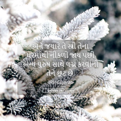 Picture 05 - પુનર્નિયમ 24:2 GUJIRV - અને જયારે તે - Bible Verse Picture