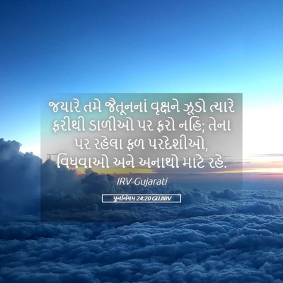 Picture 05 - પુનર્નિયમ 24:20 GUJIRV - જયારે તમે - Bible Verse Picture