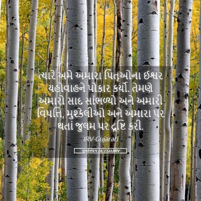 Picture 05 - પુનર્નિયમ 26:7 GUJIRV - ત્યારે અમે અમારા - Bible Verse Picture