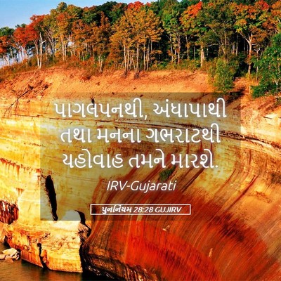 Picture 05 - પુનર્નિયમ 28:28 GUJIRV - પાગલપનથી, - Bible Verse Picture