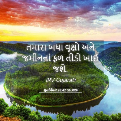 Picture 05 - પુનર્નિયમ 28:42 GUJIRV - તમારા બધા વૃક્ષો - Bible Verse Picture