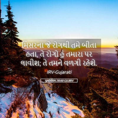 Picture 05 - પુનર્નિયમ 28:60 GUJIRV - મિસરના જે રોગથી - Bible Verse Picture