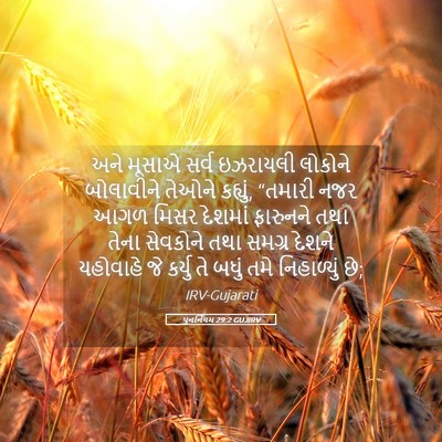 Picture 05 - પુનર્નિયમ 29:2 GUJIRV - અને મૂસાએ સર્વ - Bible Verse Picture