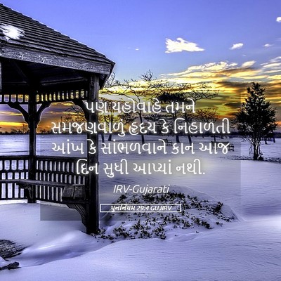 Picture 05 - પુનર્નિયમ 29:4 GUJIRV - પણ યહોવાહે તમને - Bible Verse Picture