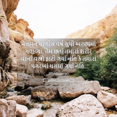 Picture 05 - પુનર્નિયમ 29:5 GUJIRV - મેં તમને ચાળીસ - Bible Verse Picture