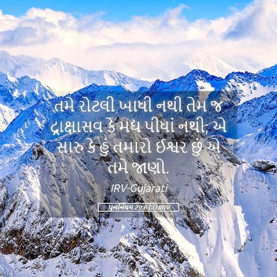 Picture 05 - પુનર્નિયમ 29:6 GUJIRV - તમે રોટલી ખાધી નથી - Bible Verse Picture