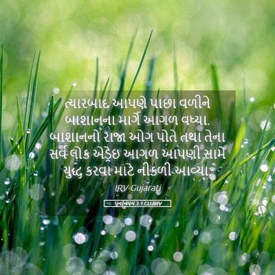 Picture 05 - પુનર્નિયમ 3:1 GUJIRV - ત્યારબાદ આપણે - Bible Verse Picture