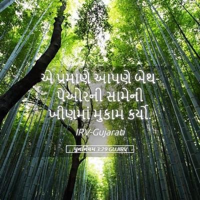 Picture 05 - પુનર્નિયમ 3:29 GUJIRV - એ પ્રમાણે આપણે - Bible Verse Picture