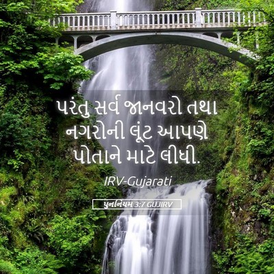 Picture 05 - પુનર્નિયમ 3:7 GUJIRV - પરંતુ સર્વ જાનવરો - Bible Verse Picture