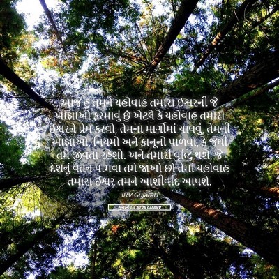 Picture 05 - પુનર્નિયમ 30:16 GUJIRV - આજે હું તમને - Bible Verse Picture