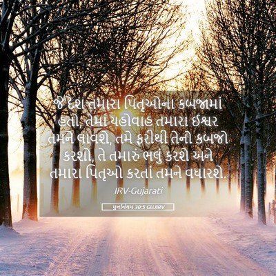Picture 05 - પુનર્નિયમ 30:5 GUJIRV - જે દેશ તમારા - Bible Verse Picture