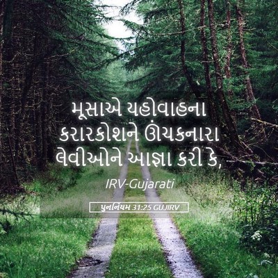 Picture 05 - પુનર્નિયમ 31:25 GUJIRV - મૂસાએ યહોવાહના - Bible Verse Picture
