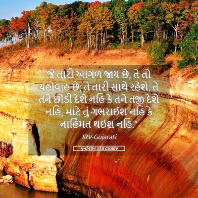 Picture 05 - પુનર્નિયમ 31:8 GUJIRV - જે તારી આગળ જાય છે, - Bible Verse Picture