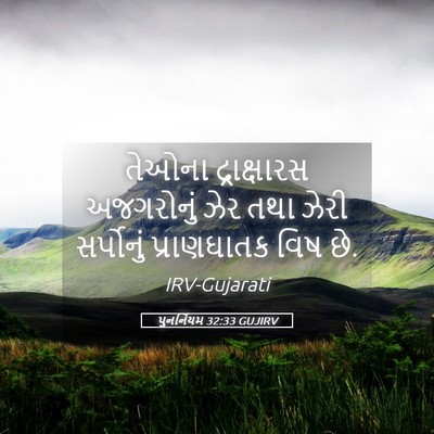 Picture 05 - પુનર્નિયમ 32:33 GUJIRV - તેઓના દ્રાક્ષારસ - Bible Verse Picture
