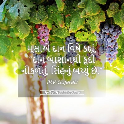Picture 05 - પુનર્નિયમ 33:22 GUJIRV - મૂસાએ દાન વિષે - Bible Verse Picture