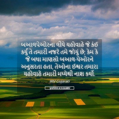 Picture 05 - પુનર્નિયમ 4:3 GUJIRV - બઆલપેઓરના લીધે - Bible Verse Picture
