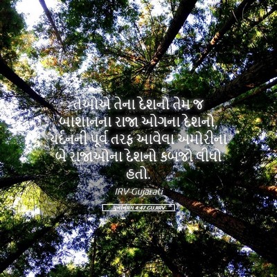 Picture 05 - પુનર્નિયમ 4:47 GUJIRV - તેઓએ તેના દેશનો - Bible Verse Picture