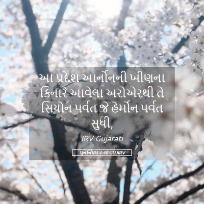 Picture 05 - પુનર્નિયમ 4:48 GUJIRV - આ પ્રદેશ આર્નોનની - Bible Verse Picture