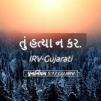 Picture 05 - પુનર્નિયમ 5:17 GUJIRV - તું હત્યા ન - Bible Verse Picture