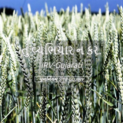 Picture 05 - પુનર્નિયમ 5:18 GUJIRV - તું વ્યભિચાર ન - Bible Verse Picture