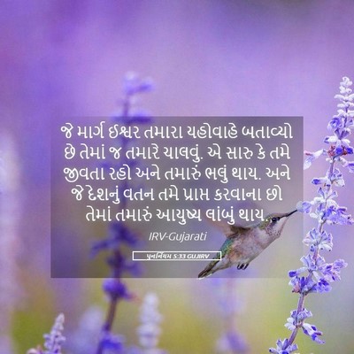 Picture 05 - પુનર્નિયમ 5:33 GUJIRV - જે માર્ગ ઈશ્વર - Bible Verse Picture