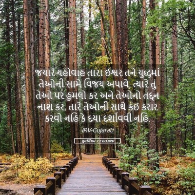 Picture 05 - પુનર્નિયમ 7:2 GUJIRV - જયારે યહોવાહ તારા - Bible Verse Picture