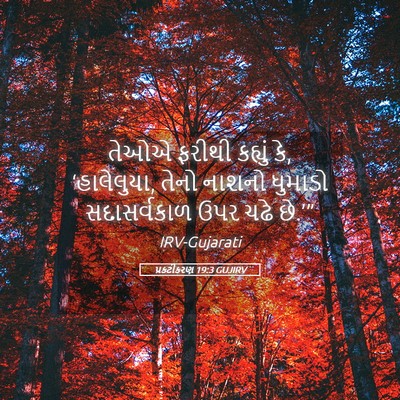 Picture 05 - પ્રકટીકરણ 19:3 GUJIRV - તેઓએ ફરીથી કહ્યું - Bible Verse Picture