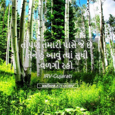 Picture 05 - પ્રકટીકરણ 2:25 GUJIRV - તોપણ તમારી પાસે જે - Bible Verse Picture