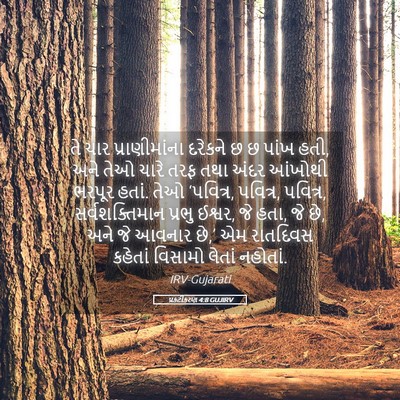 Picture 05 - પ્રકટીકરણ 4:8 GUJIRV - તે ચાર - Bible Verse Picture