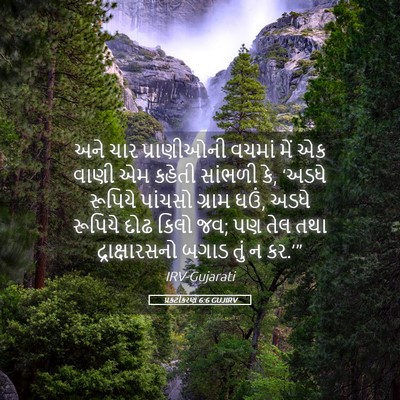 Picture 05 - પ્રકટીકરણ 6:6 GUJIRV - અને ચાર પ્રાણીઓની - Bible Verse Picture