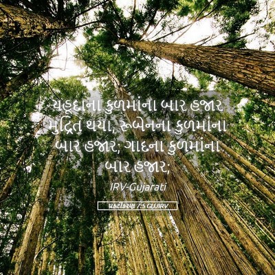 Picture 05 - પ્રકટીકરણ 7:5 GUJIRV - યહૂદાના કુળમાંના - Bible Verse Picture