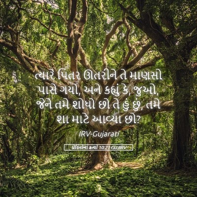 Picture 05 - પ્રેરિતોનાં ક્રત્યો 10:21 GUJIRV - ત્યારે પિતર - Bible Verse Picture