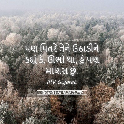 Picture 05 - પ્રેરિતોનાં ક્રત્યો 10:26 GUJIRV - પણ પિતરે તેને - Bible Verse Picture