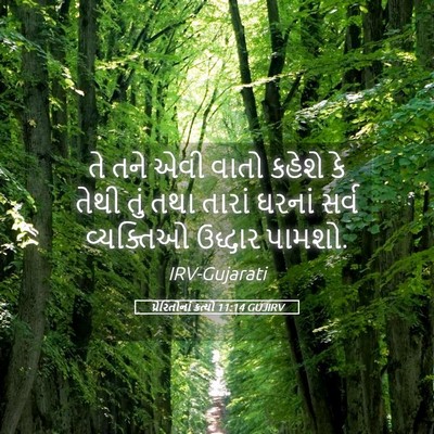 Picture 05 - પ્રેરિતોનાં ક્રત્યો 11:14 GUJIRV - તે તને એવી વાતો - Bible Verse Picture