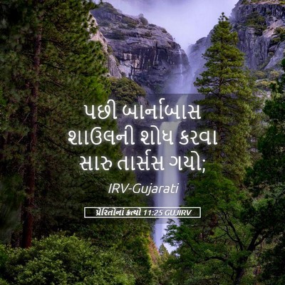 Picture 05 - પ્રેરિતોનાં ક્રત્યો 11:25 GUJIRV - પછી બાર્નાબાસ - Bible Verse Picture