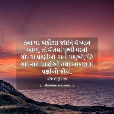 Picture 05 - પ્રેરિતોનાં ક્રત્યો 11:6 GUJIRV - તેના પર એકીટસે - Bible Verse Picture