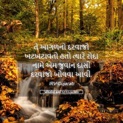 Picture 05 - પ્રેરિતોનાં ક્રત્યો 12:13 GUJIRV - તે આગળનો દરવાજો - Bible Verse Picture