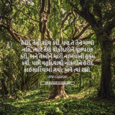 Picture 05 - પ્રેરિતોનાં ક્રત્યો 12:19 GUJIRV - હેરોદે તેની શોધ - Bible Verse Picture