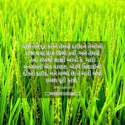 Picture 05 - પ્રેરિતોનાં ક્રત્યો 13:22 GUJIRV - પછી તેને દૂર કરીને - Bible Verse Picture