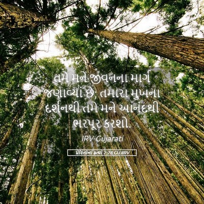 Picture 05 - પ્રેરિતોનાં ક્રત્યો 2:28 GUJIRV - તમે મને જીવનના - Bible Verse Picture