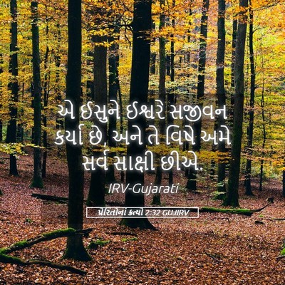Picture 05 - પ્રેરિતોનાં ક્રત્યો 2:32 GUJIRV - એ ઈસુને ઈશ્વરે - Bible Verse Picture