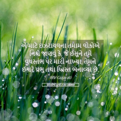 Picture 05 - પ્રેરિતોનાં ક્રત્યો 2:36 GUJIRV - એ માટે ઇઝરાયલના - Bible Verse Picture