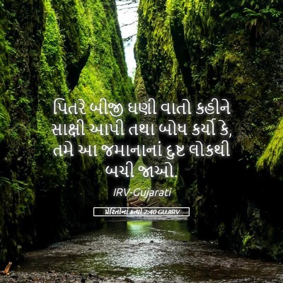 Picture 05 - પ્રેરિતોનાં ક્રત્યો 2:40 GUJIRV - પિતરે બીજી ઘણી - Bible Verse Picture