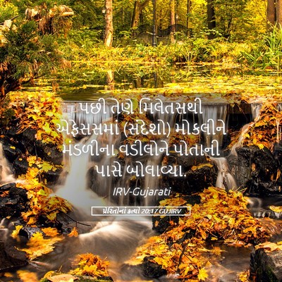 Picture 05 - પ્રેરિતોનાં ક્રત્યો 20:17 GUJIRV - પછી તેણે મિલેતસથી - Bible Verse Picture