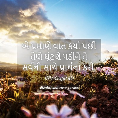 Picture 05 - પ્રેરિતોનાં ક્રત્યો 20:36 GUJIRV - એ પ્રમાણે વાત - Bible Verse Picture