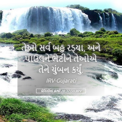 Picture 05 - પ્રેરિતોનાં ક્રત્યો 20:37 GUJIRV - તેઓ સર્વ બહુ રડ્યા, - Bible Verse Picture