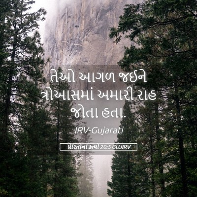 Picture 05 - પ્રેરિતોનાં ક્રત્યો 20:5 GUJIRV - તેઓ આગળ જઈને - Bible Verse Picture