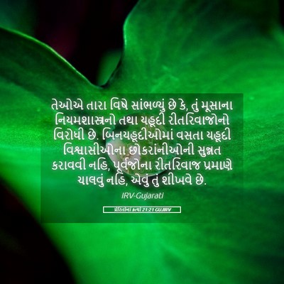 Picture 05 - પ્રેરિતોનાં ક્રત્યો 21:21 GUJIRV - તેઓએ તારા વિષે - Bible Verse Picture