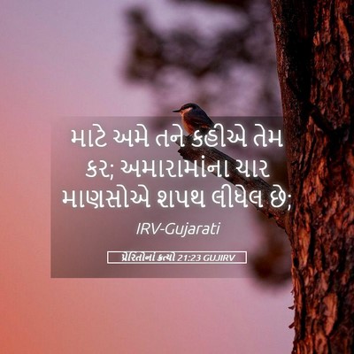 Picture 05 - પ્રેરિતોનાં ક્રત્યો 21:23 GUJIRV - માટે અમે તને કહીએ - Bible Verse Picture