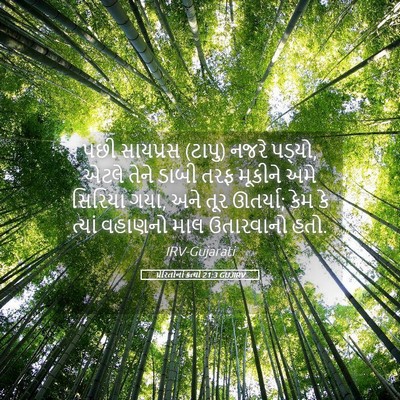 Picture 05 - પ્રેરિતોનાં ક્રત્યો 21:3 GUJIRV - પછી સાયપ્રસ (ટાપુ) - Bible Verse Picture